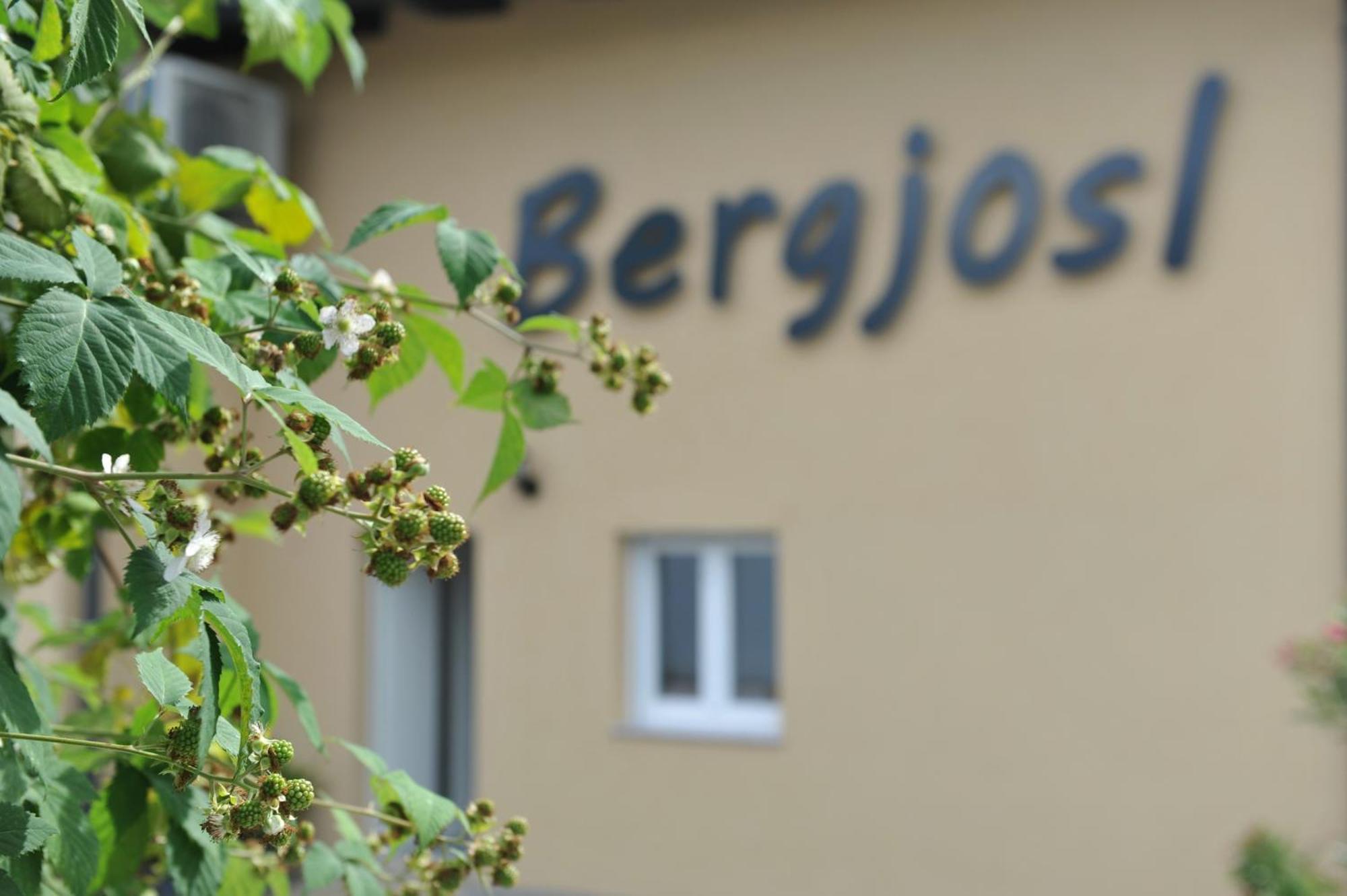 Beim Bergjosl Apartment Kirchbach in Steiermark Luaran gambar
